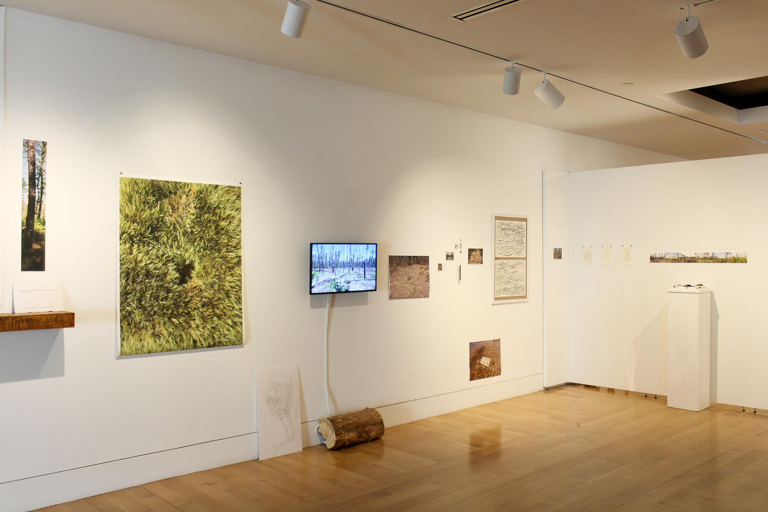 MFA Thesis Exhibition "Respiration" 2022